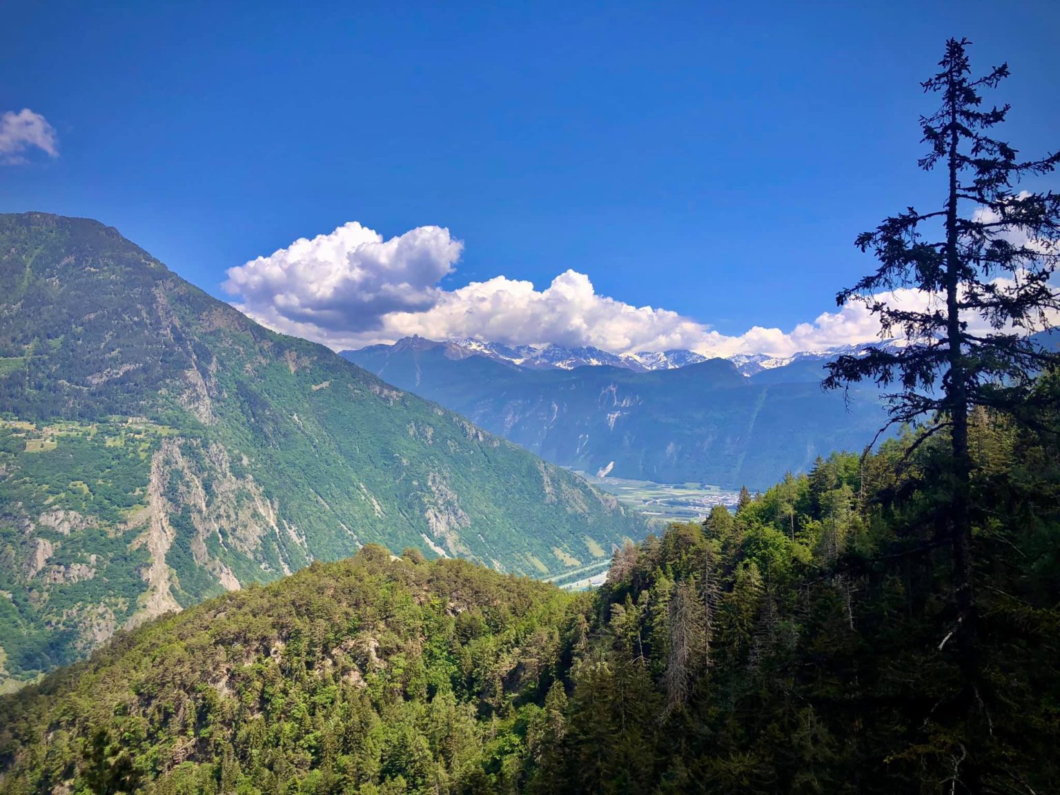 Best Gorge Hikes in Switzerland | Jan Adventures