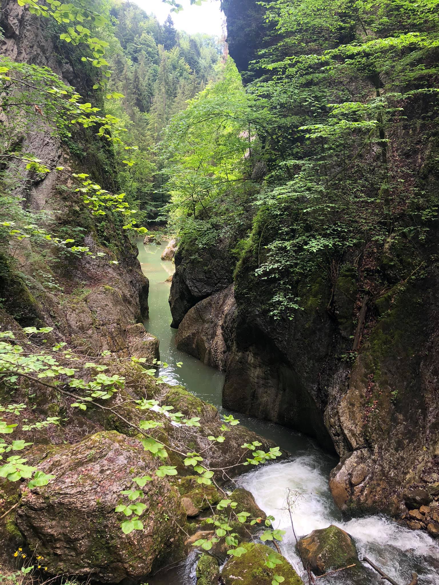 Best Gorge Hikes in Switzerland