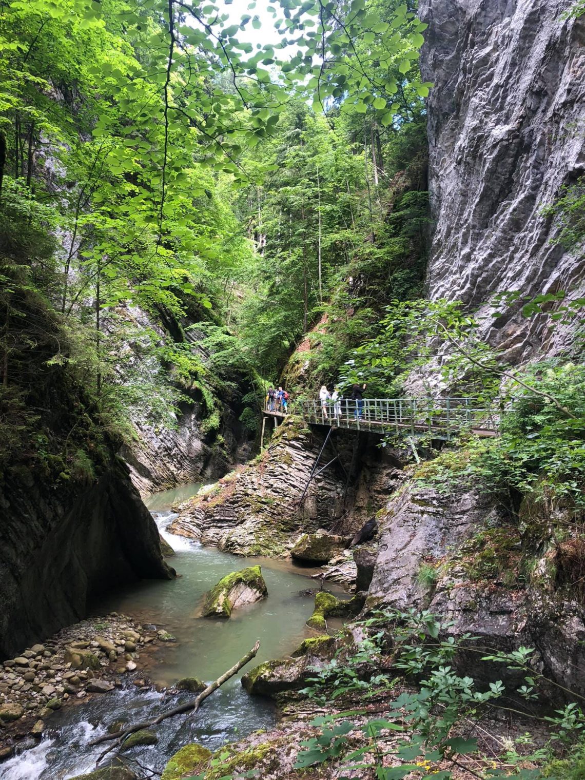 Best Gorge Hikes in Switzerland | Jan Adventures