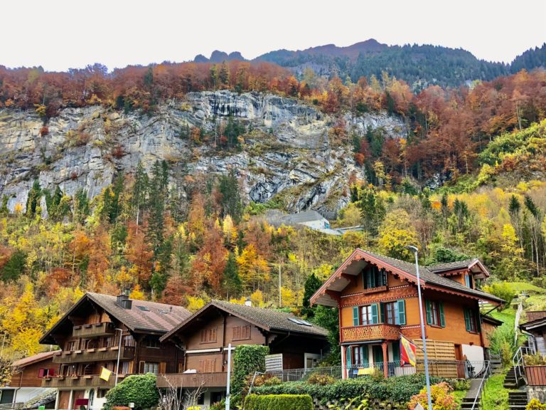 interlakeniseltwaldhouses Jan Adventures