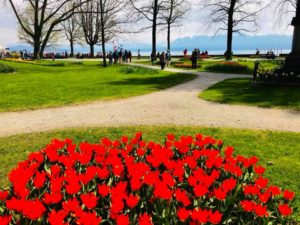 Discover Spring in Switzerland | Jan Adventures