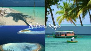 Maldives Magic | Jan Adventures