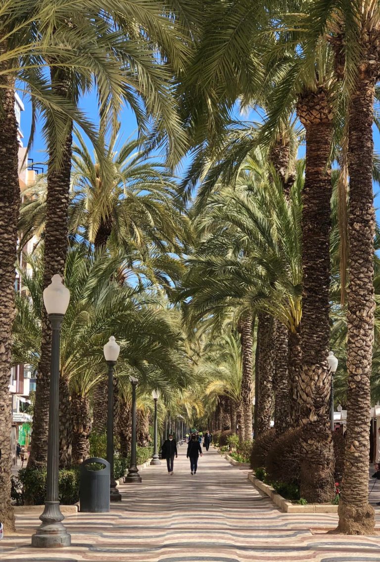 Alicante Spain in One Week | Jan Adventures