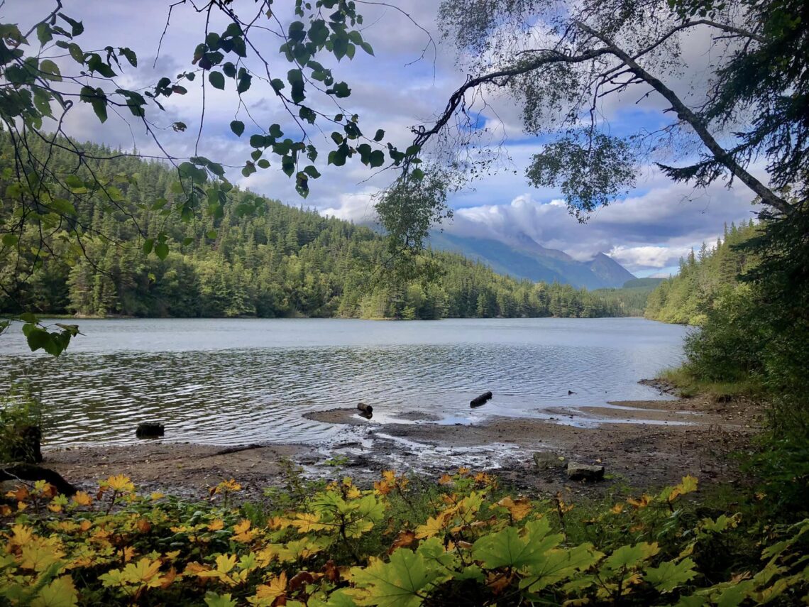 Alaska Cruise and Land Tour Review Jan Adventures