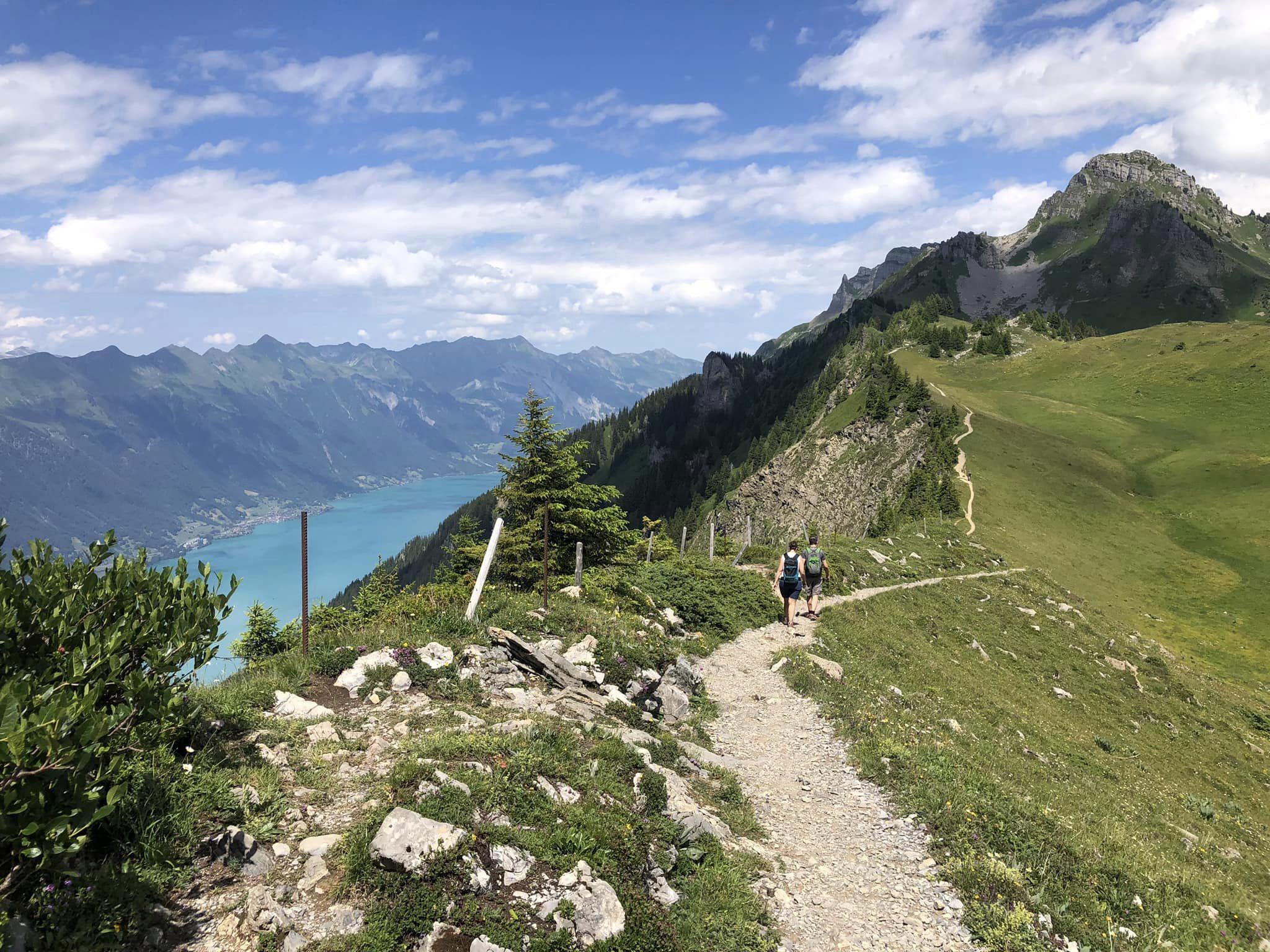 Schynige Platte Things to Do | Jan Adventures